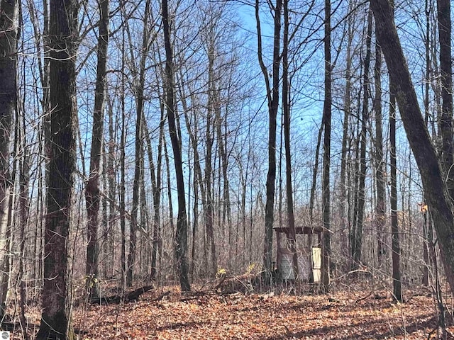 view of local wilderness