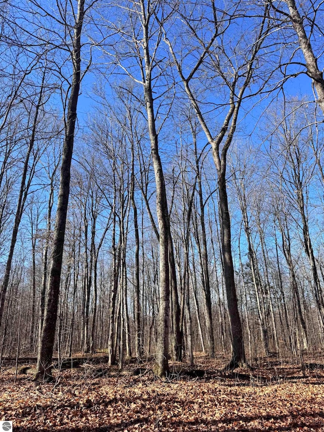 view of local wilderness