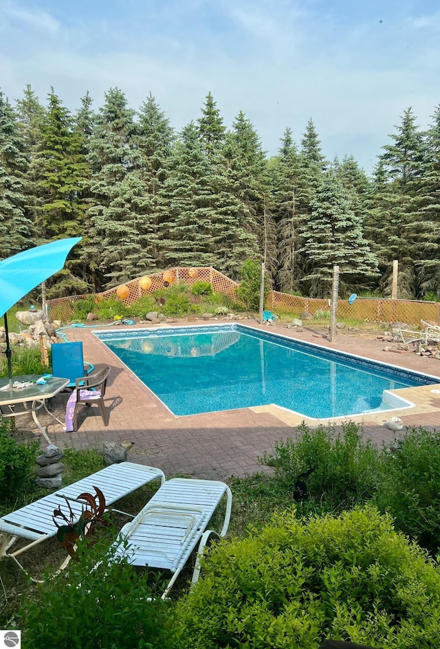 view of swimming pool with a patio