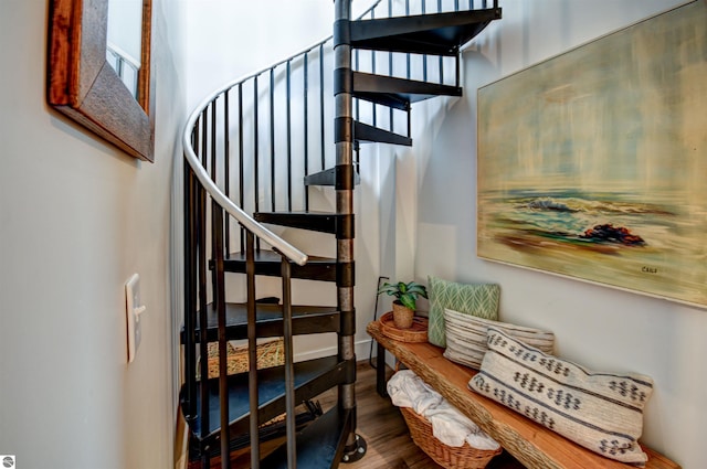 stairs with hardwood / wood-style flooring