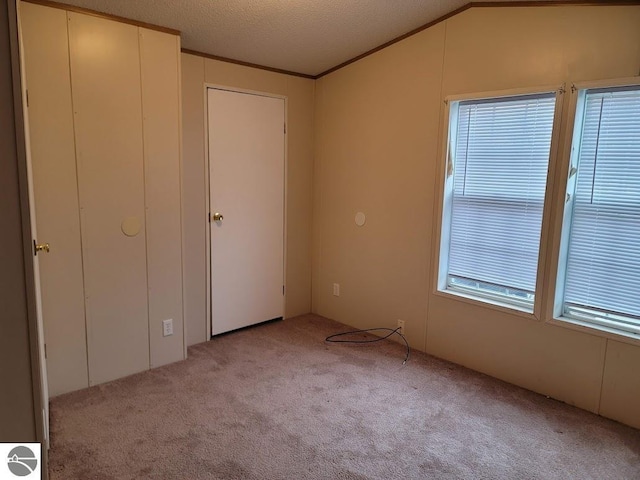 unfurnished bedroom with lofted ceiling, a textured ceiling, and light carpet