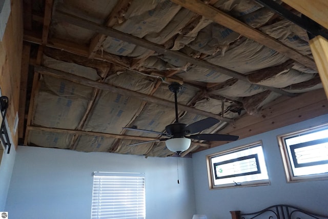 interior details featuring ceiling fan