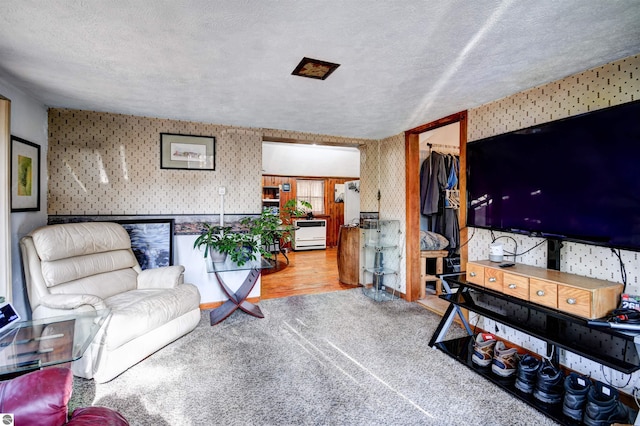 living room with hardwood / wood-style floors and a textured ceiling