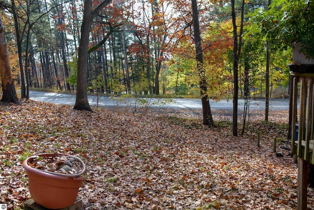 2489 Main Ave, Traverse City, MI 49696 - view of yard