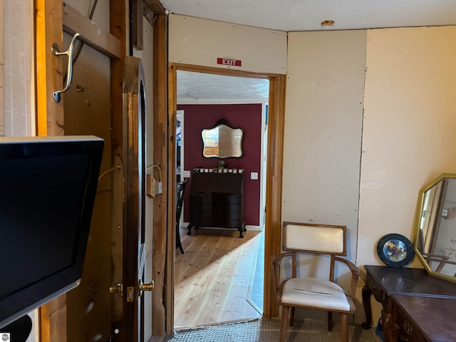 hallway with wood-type flooring