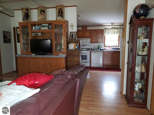 living room featuring sink, crown molding, and light hardwood / wood-style flooring