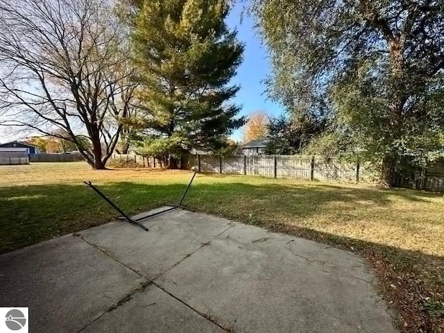 view of yard featuring a patio area