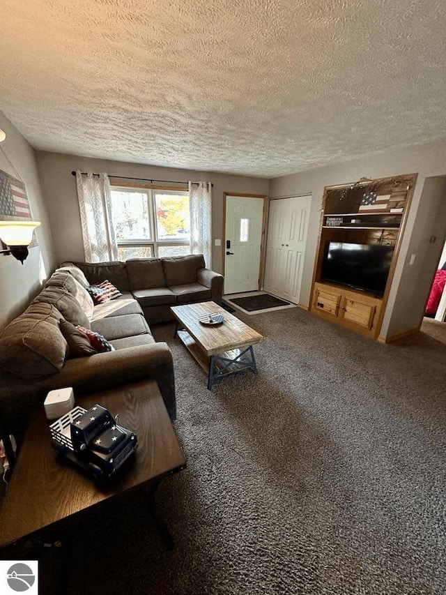 living room with a textured ceiling and carpet