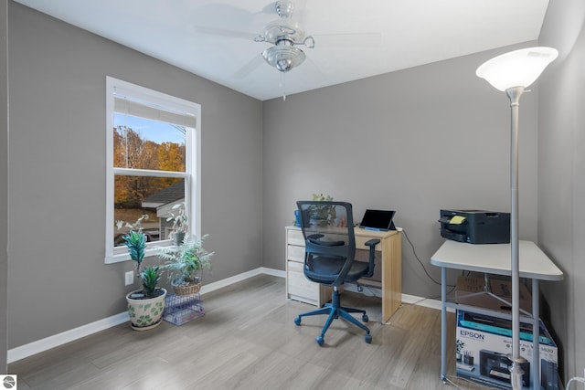 office space featuring ceiling fan and wood-type flooring