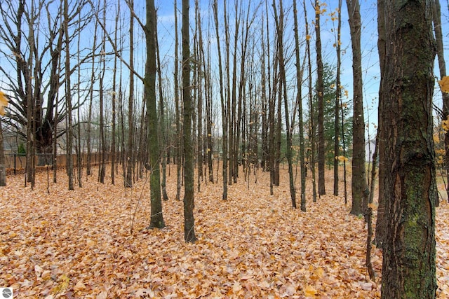 view of landscape