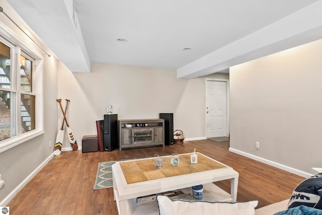 living room with wood-type flooring