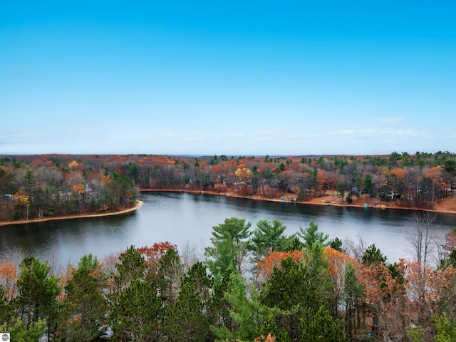 property view of water