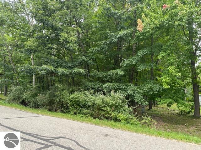 1064 Barcelona Dr, Lake Isabella MI, 48893 land for sale