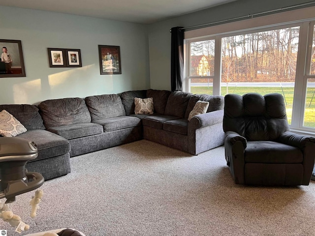 carpeted living room with a healthy amount of sunlight