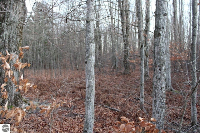 view of local wilderness