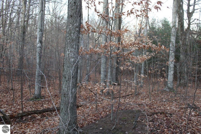 view of landscape