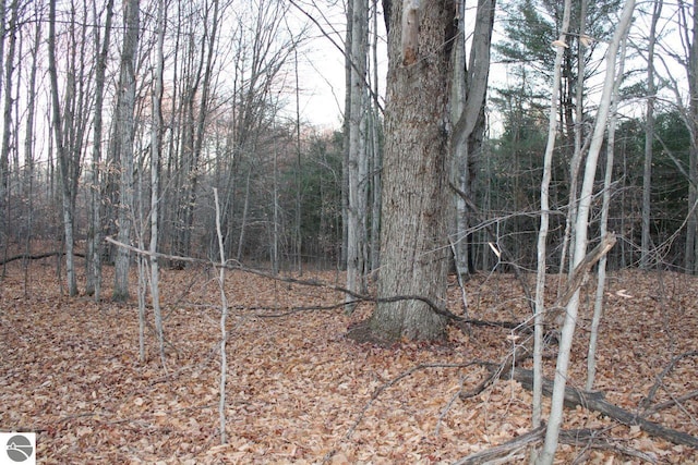 view of landscape