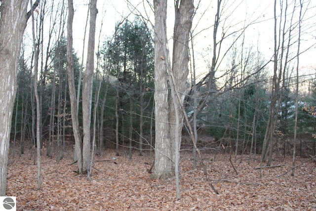 view of local wilderness