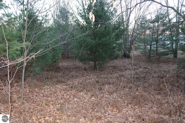 view of local wilderness