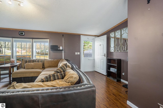 living room with ornamental molding, dark hardwood / wood-style flooring, and a textured ceiling