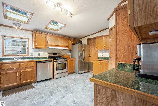 kitchen featuring stainless steel appliances, a textured ceiling, sink, crown molding, and vaulted ceiling with skylight