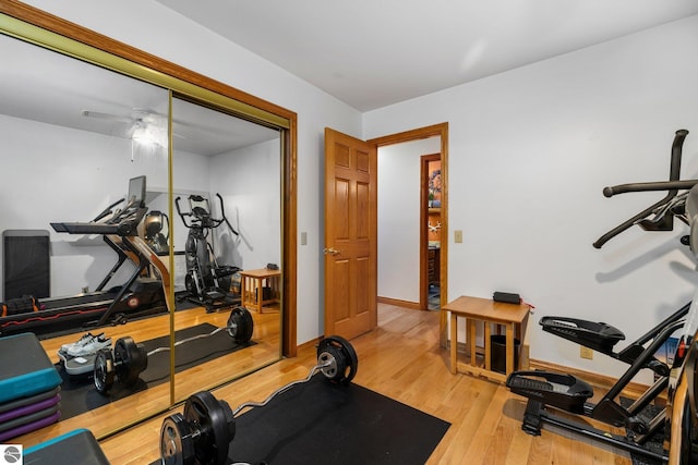 exercise room featuring light hardwood / wood-style floors and ceiling fan