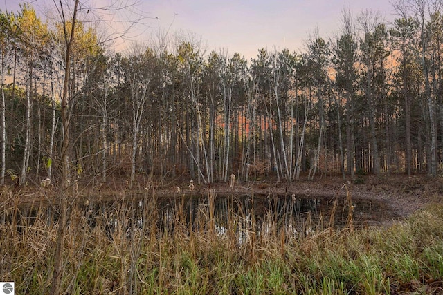 view of nature at dusk