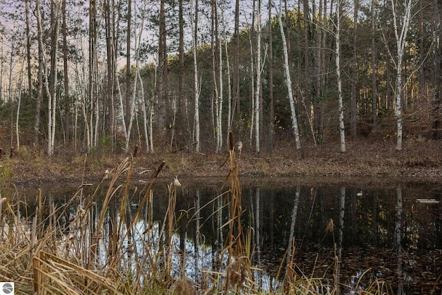 view of nature with a water view