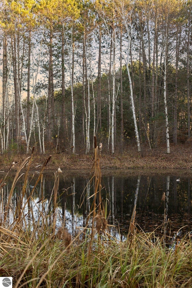 view of landscape with a water view