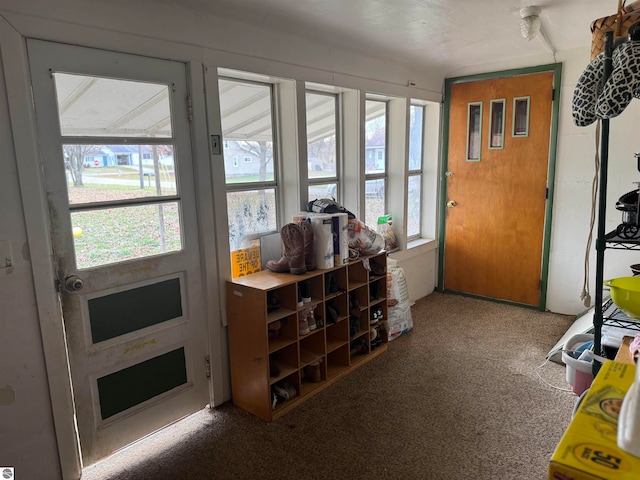 entryway with carpet flooring and plenty of natural light