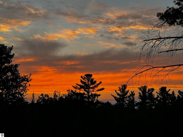 view of nature at dusk