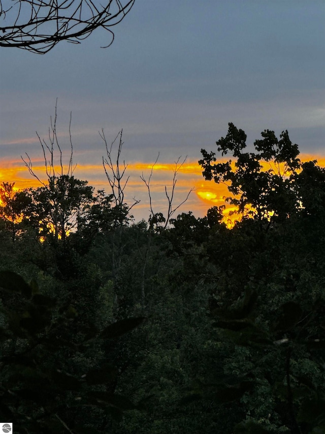 view of nature at dusk