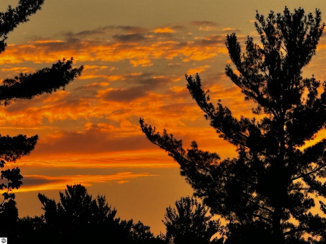 view of nature at dusk