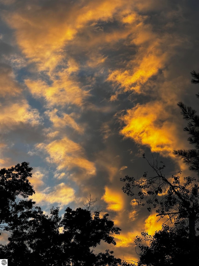 view of nature at dusk