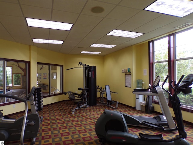 gym with a paneled ceiling and carpet flooring