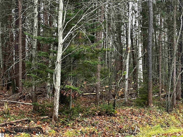 view of local wilderness