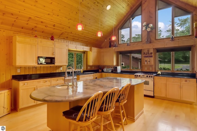 kitchen with a center island with sink, high end white range oven, sink, and a wealth of natural light