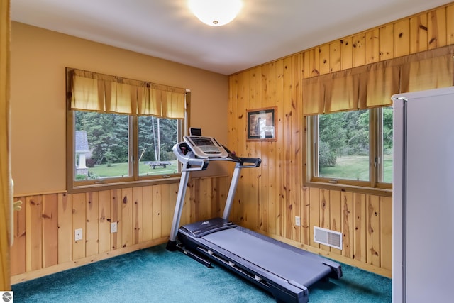 exercise room featuring wooden walls and dark carpet