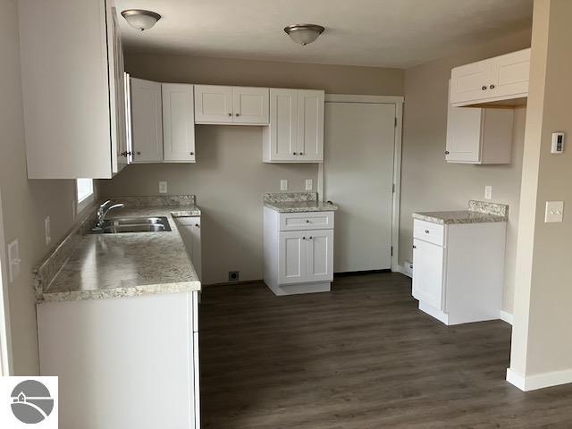 kitchen with white cabinets, dark hardwood / wood-style flooring, and sink