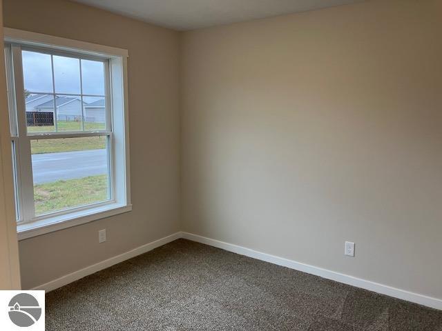 unfurnished room with carpet floors and a healthy amount of sunlight