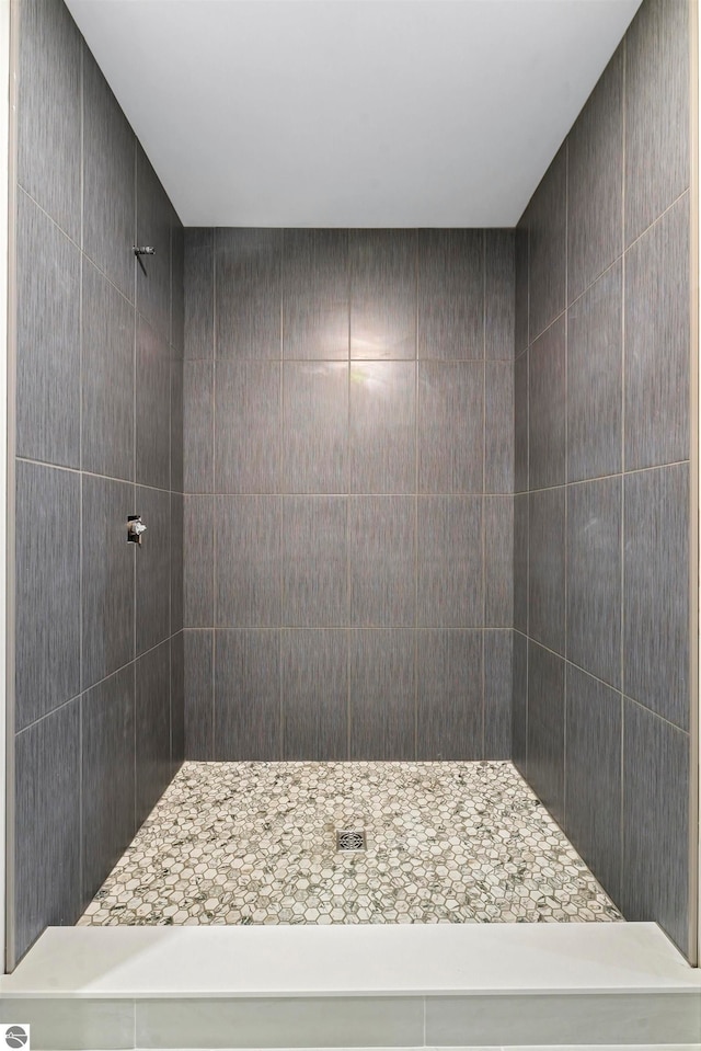 bathroom featuring walk in shower