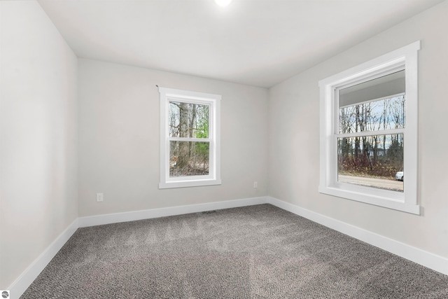 empty room featuring carpet floors and a wealth of natural light