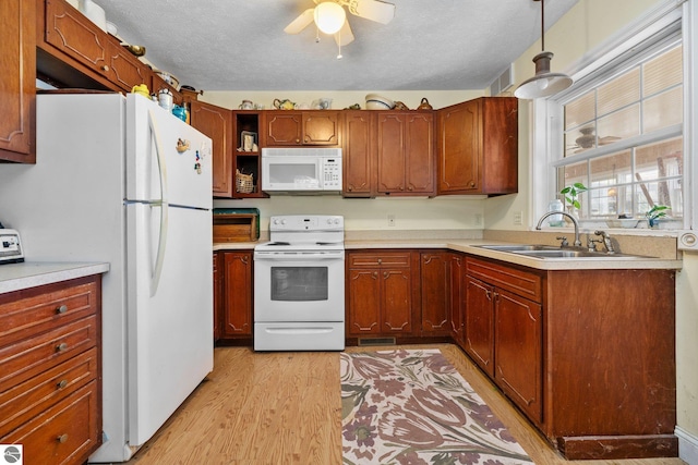 kitchen featuring a textured ceiling, white appliances, sink, light hardwood / wood-style floors, and hanging light fixtures