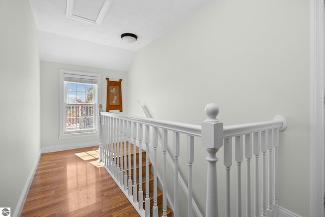 hallway featuring hardwood / wood-style floors and lofted ceiling