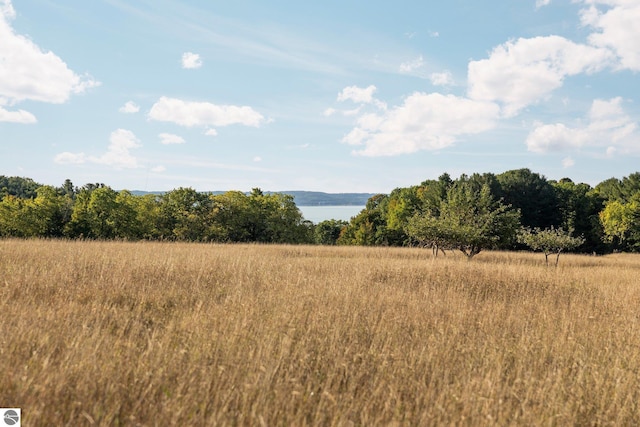 view of local wilderness