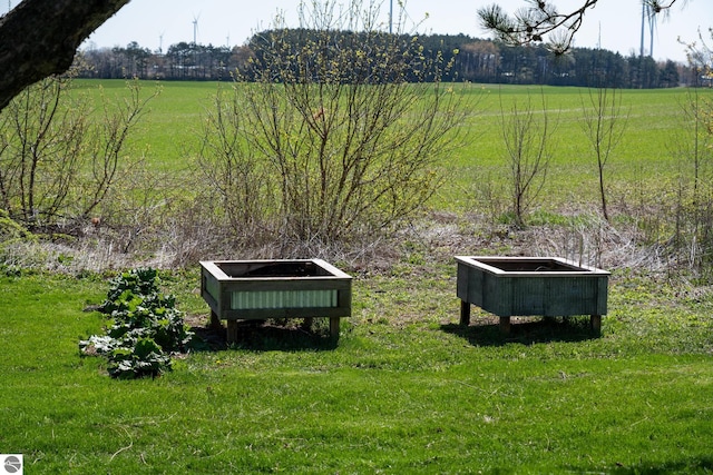 view of yard with a rural view