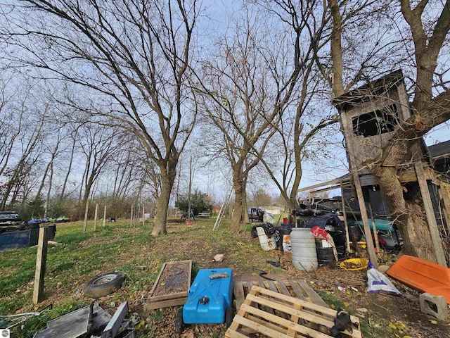 9100 E Miller Rd, Durand, MI 48429 - view of yard