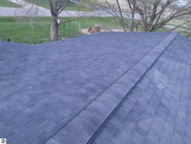 details with roof with shingles
