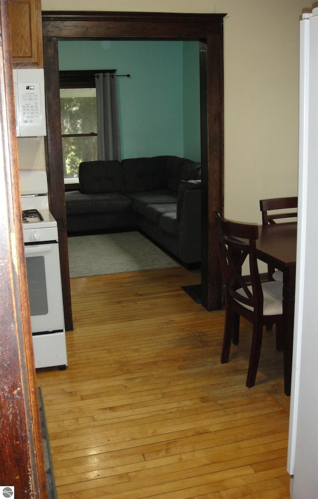 living room with light hardwood / wood-style flooring