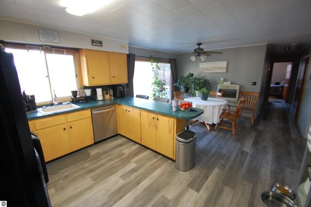 kitchen featuring kitchen peninsula, sink, stainless steel dishwasher, ceiling fan, and wood-type flooring